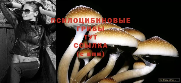 спайс Бугульма