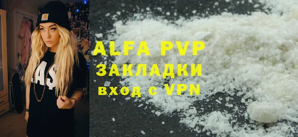 таблы Бородино